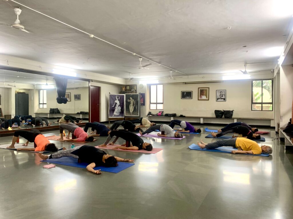 the yog circle offline kalachaya studio