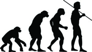 An image of human evolution